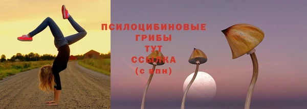 первитин Абинск