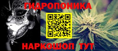 прущая мука Будённовск