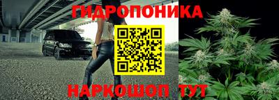 PSILOCYBIN Бугуруслан
